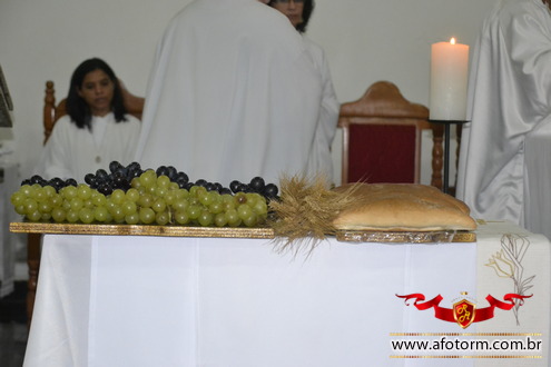 afotorm